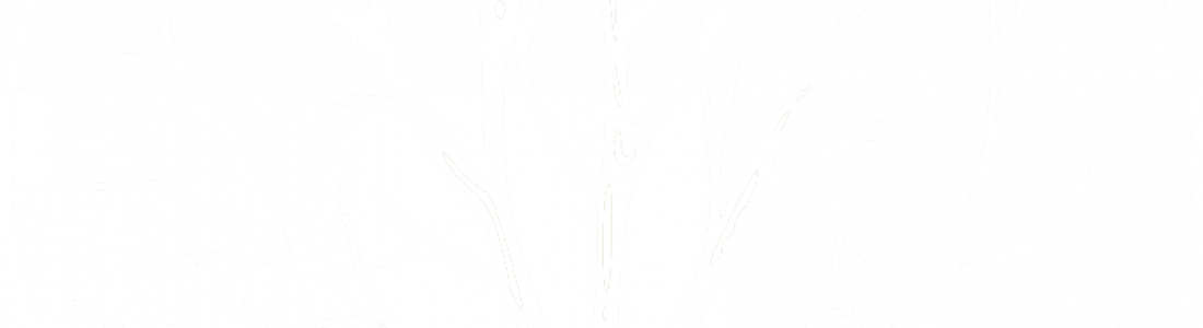 White-Tree-Transparent-background | New Story Media