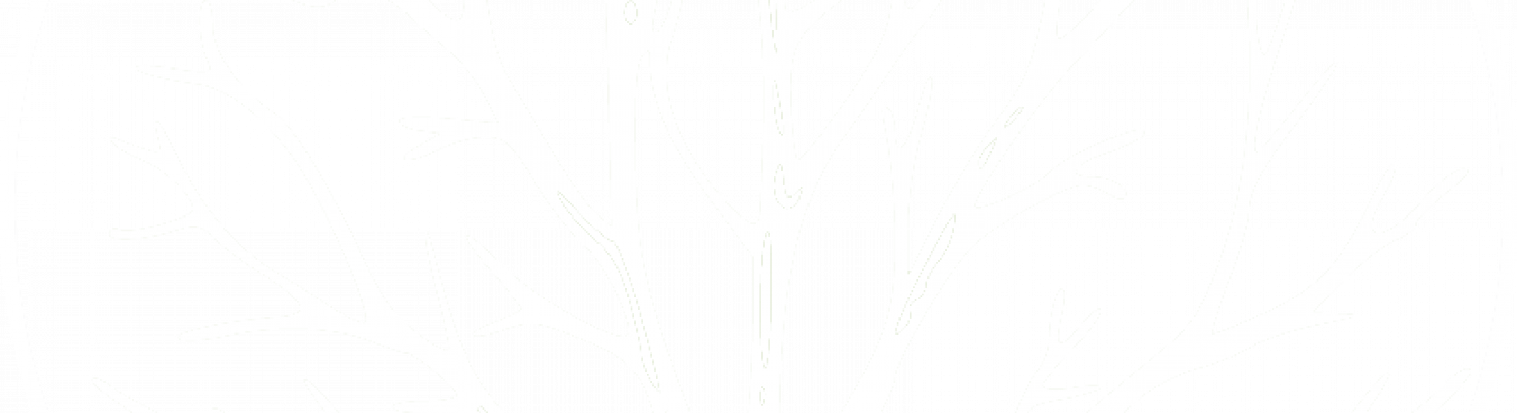 White-Tree-Transparent-background | New Story Media